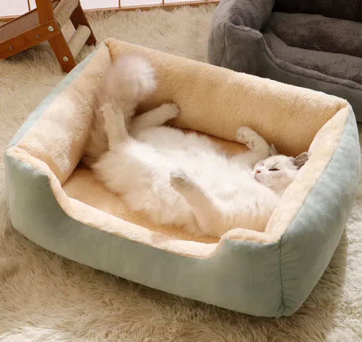 CozyPaws Duo Bed